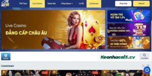 Đa số người chơi đánh giá tích cực khi tham gia tại SKY88