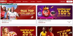 Ưu đãi RED88 dành tặng cho thành viên
