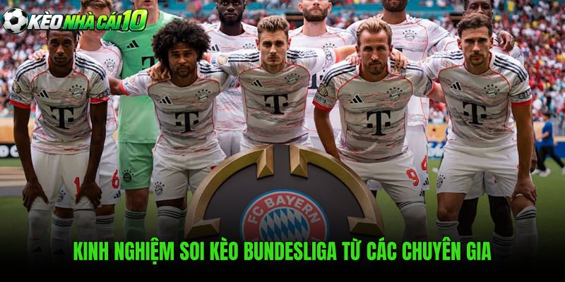 Phương pháp soi kèo Bundesliga chuẩn xác qua dữ liệu phong độ